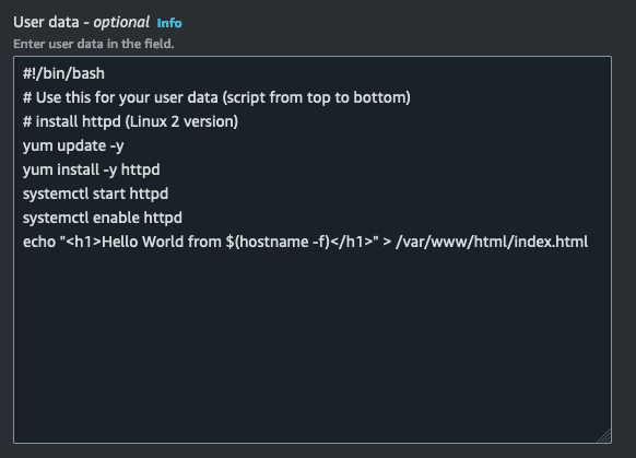 EC2 User data